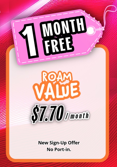 2025-06-23_Roam Value_Free 1.jpg